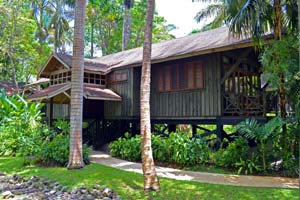 Treetop Deluxe Rooms at Sunset at the Palms Negril